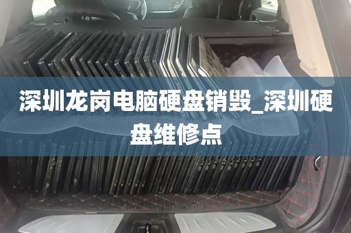 深圳龙岗电脑硬盘销毁_深圳硬盘维修点