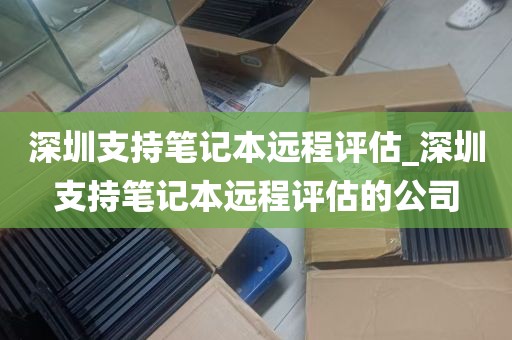 深圳支持笔记本远程评估_深圳支持笔记本远程评估的公司