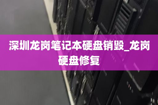 深圳龙岗笔记本硬盘销毁_龙岗硬盘修复
