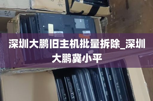 深圳大鹏旧主机批量拆除_深圳大鹏冀小平