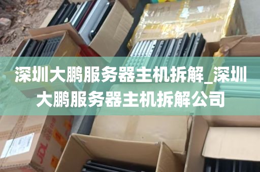 深圳大鹏服务器主机拆解_深圳大鹏服务器主机拆解公司