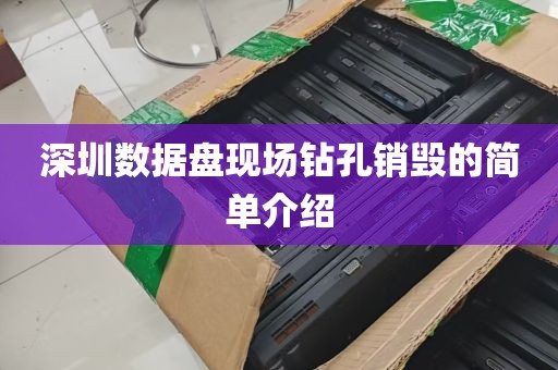 深圳数据盘现场钻孔销毁的简单介绍